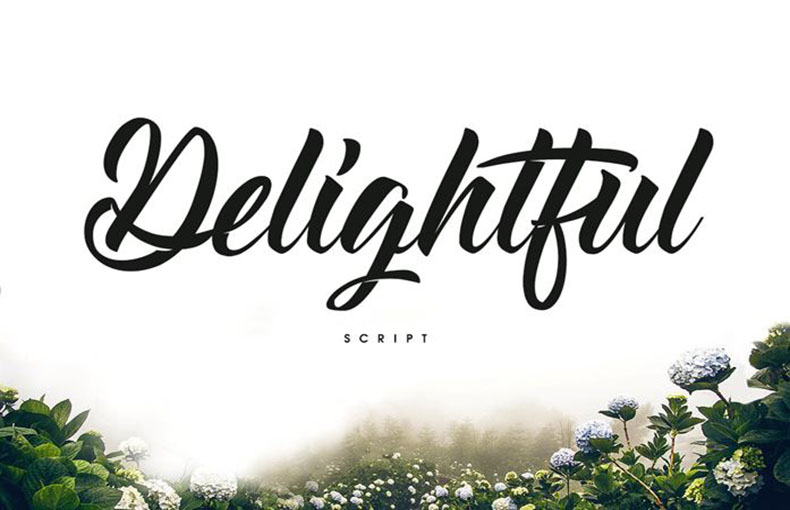 Delightful Font Family Free Download