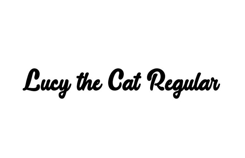 Lucy the Cat Font Family Free Download