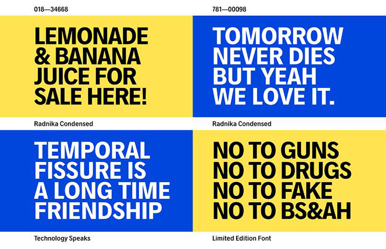 Radnika Font Free Download