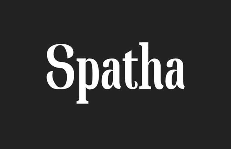 Spatha Font Family Free Download