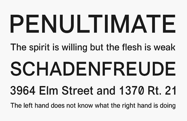 Vremena Grotesk Font Family Download