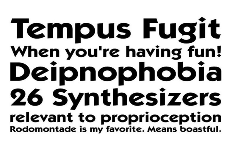Wrangler Font Family Download