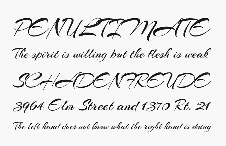 Arizonia Font Family Download