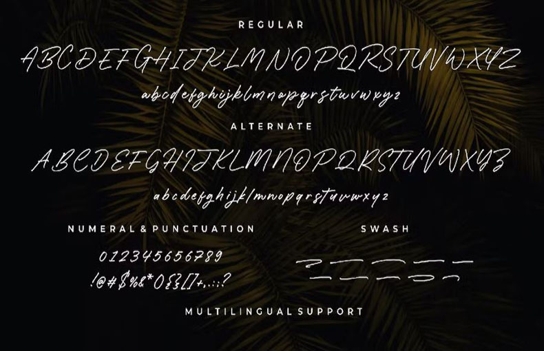 Caliway Font Family Download