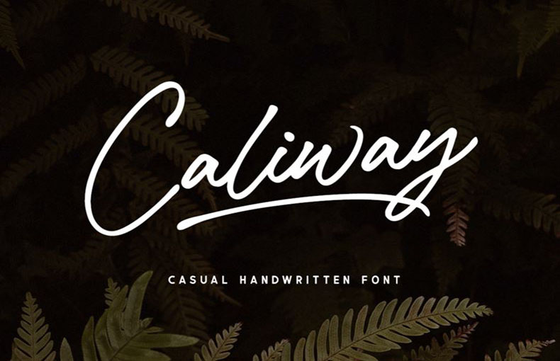 Caliway Font Family Free Download