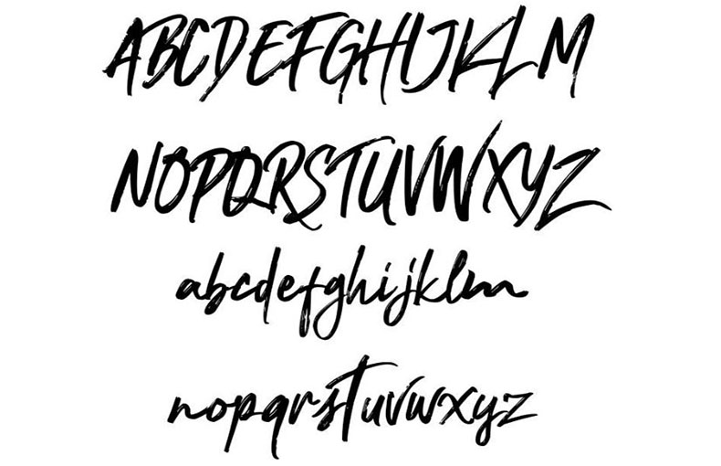 Nocturnal Font Family Download