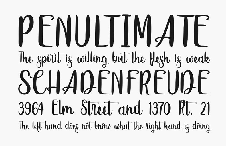 Sweet Hipster Font Family Download