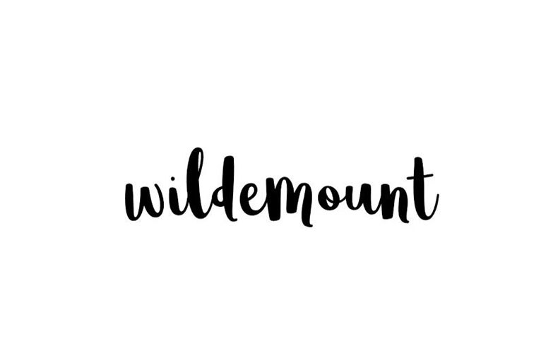 Wildemount Font Family Free Download