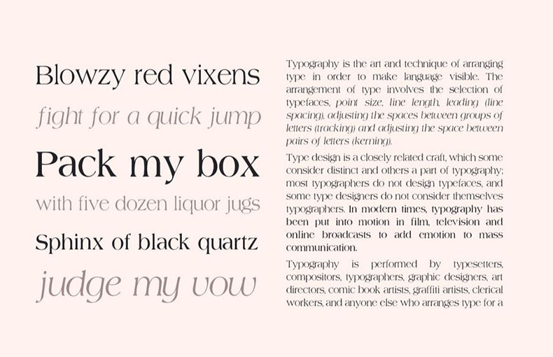 Agate Type Font Family Download