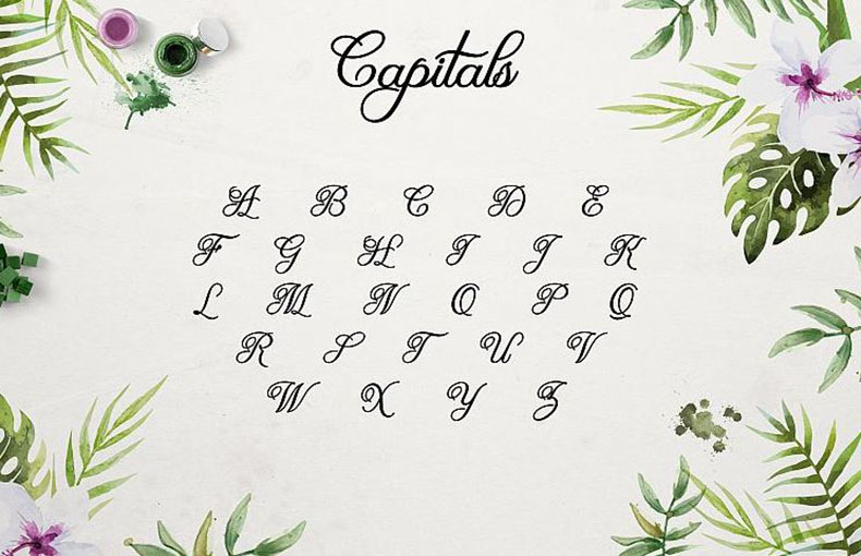 Olivia Script Font Family Download