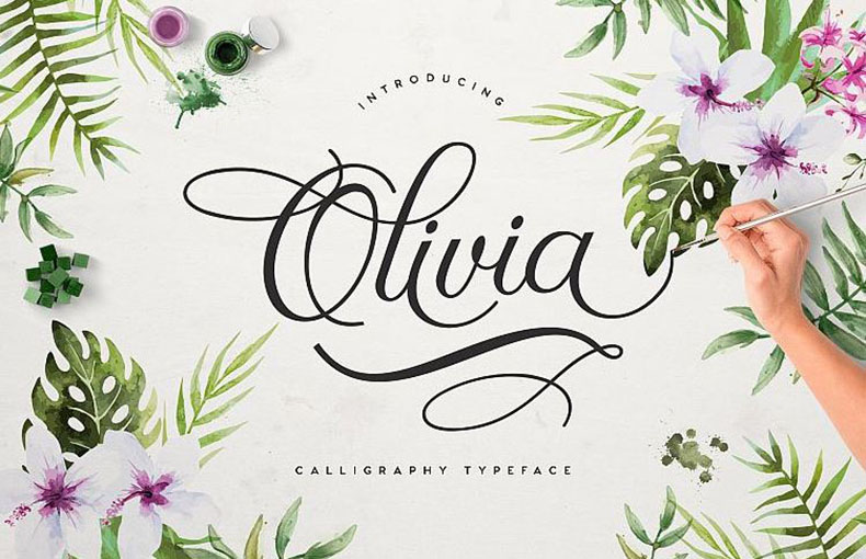 Olivia Script Font Family Free Download