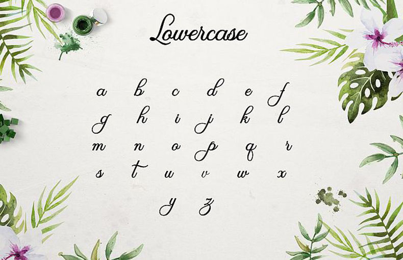 Olivia Script Font Free Download