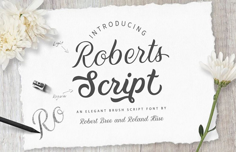 Robert Script Font Family Free Download