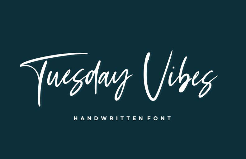 Tuesday Vibes Script Font Family Free Download