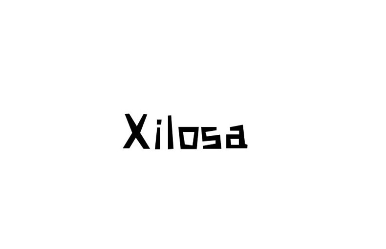 Xilosa Font Family Free Download