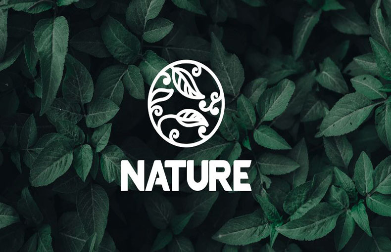 Blantic Font Free Download