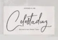 Celesta Diaz Script Font Family Free Download