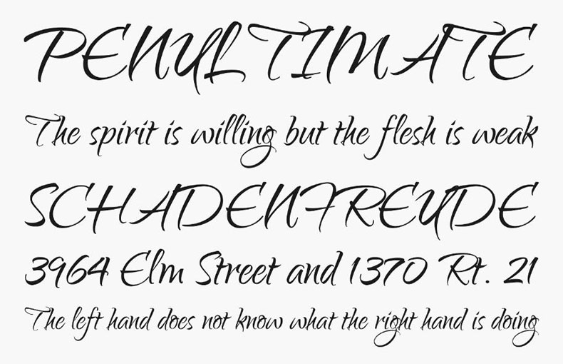 Qwigley Font Family Download