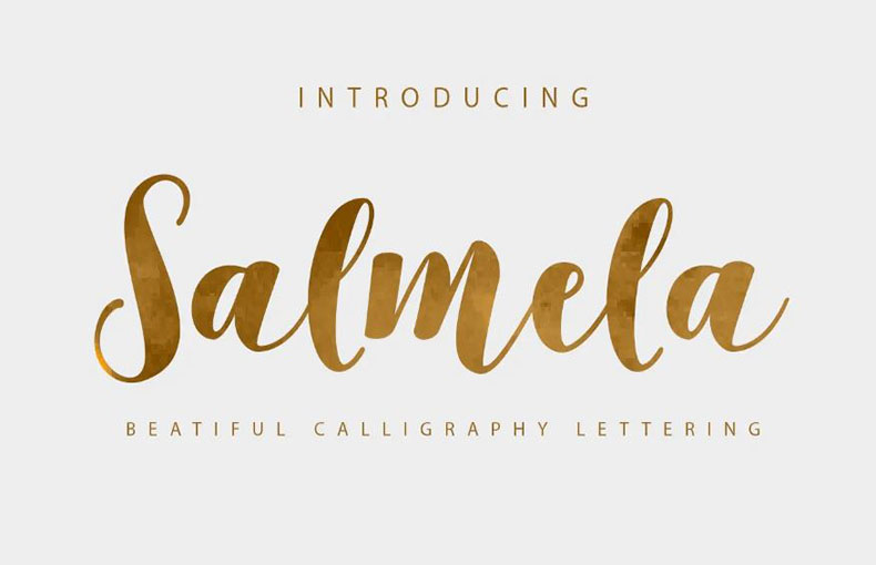 Salmela Font Family Free Download