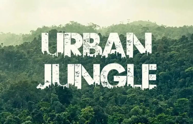 Urban Jungle Font Family Free Download