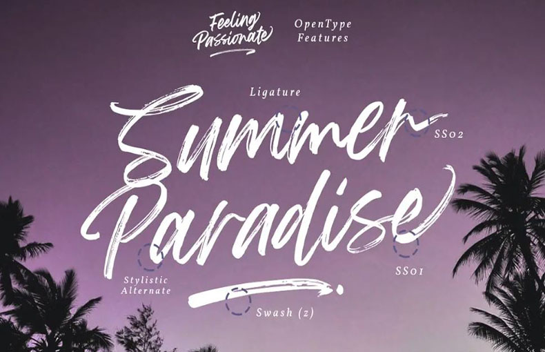 Feeling Passionate Brush Script Font Free Download