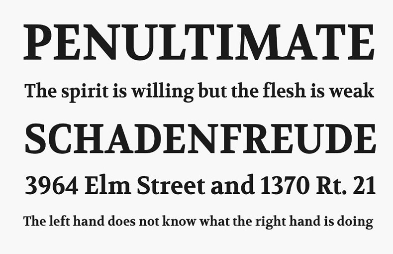 Volkhov Font Family Download