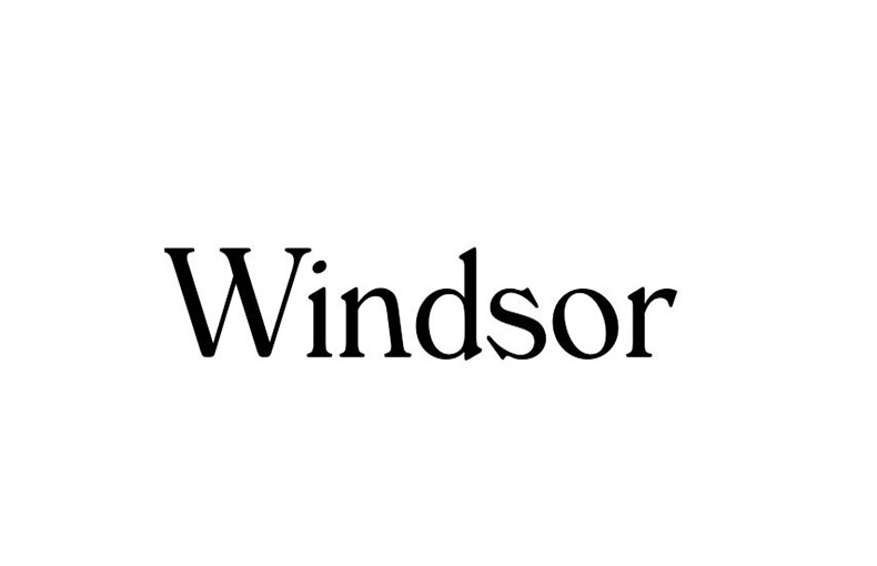Windsor Font Family Free Download